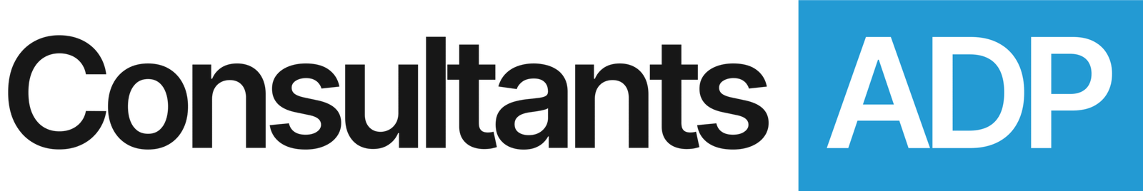 Consultants ADP services for businesses, ADP HR consulting, ADP payroll solutions, expert consultants for ADP systems implementation